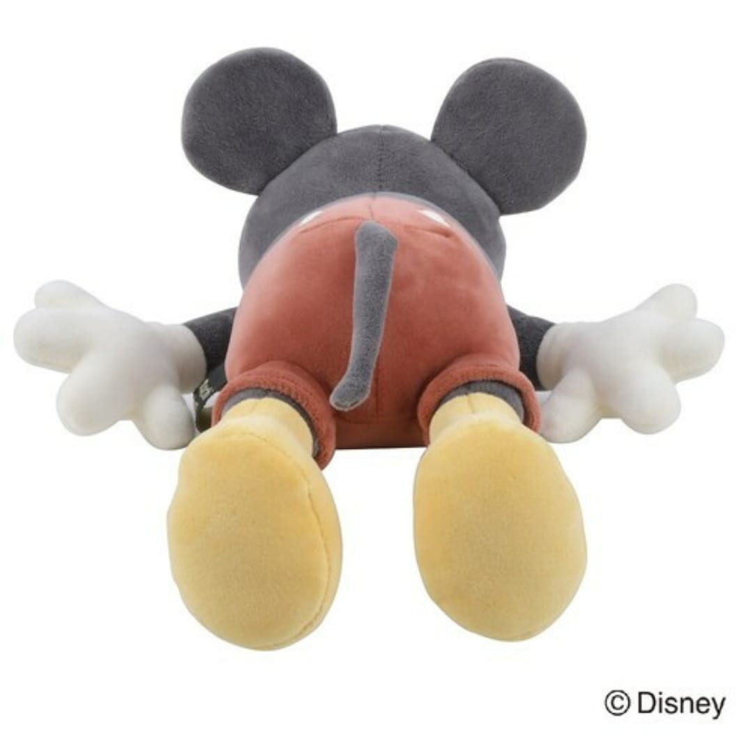 🌟 Disney迷必買! Mochi Hug坐墊登場 🌟【17/11 截單; 預計7-30工作天發貨】